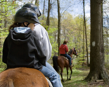Kids Charlotte County and Southern Sarasota County: Horseback Rides - Fun 4 Port Charlotte Kids