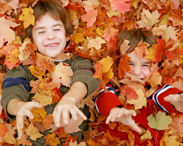 Kids Charlotte County and Southern Sarasota County: Fall Festivals - Fun 4 Port Charlotte Kids