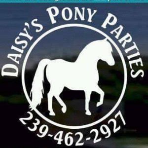 Daisy's Pony Parties