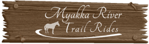 Myakka Trail Rides - Birthday Parties