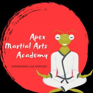Apex Martial Arts Academy