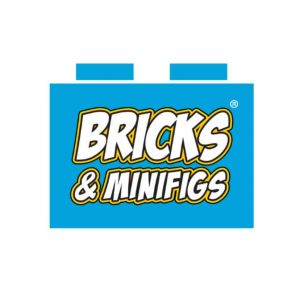 Bricks and Minifigs Parties