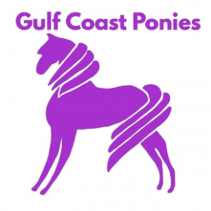 Gulf Coast Ponies Birthday Parties