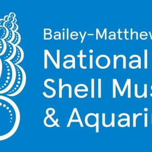 Sanibel -  Bailey-Matthews National Shell Museum and Aquarium