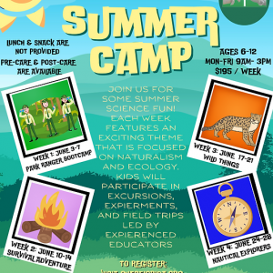 CHEC Alligator Creek  Summer Camps