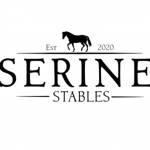 Serine Stables Horseback Riding Summer Camp