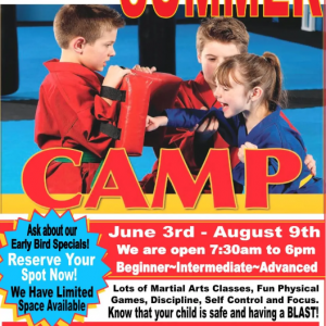 United Martial Arts Center Summer Camp