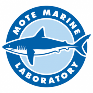 Sarasota - Mote Marine Laboratory