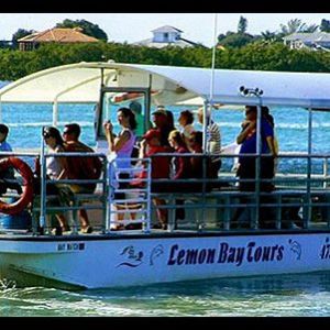 Lemon Bay Dolphin Tours