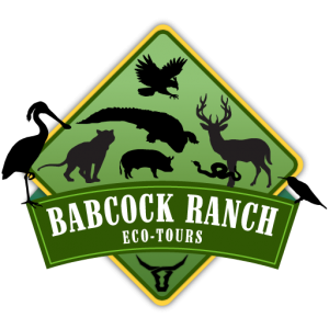Babcock Ranch Eco Tours - Walking Tours