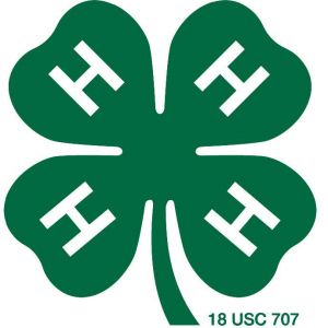 Charlotte County 4-H Youth Programs